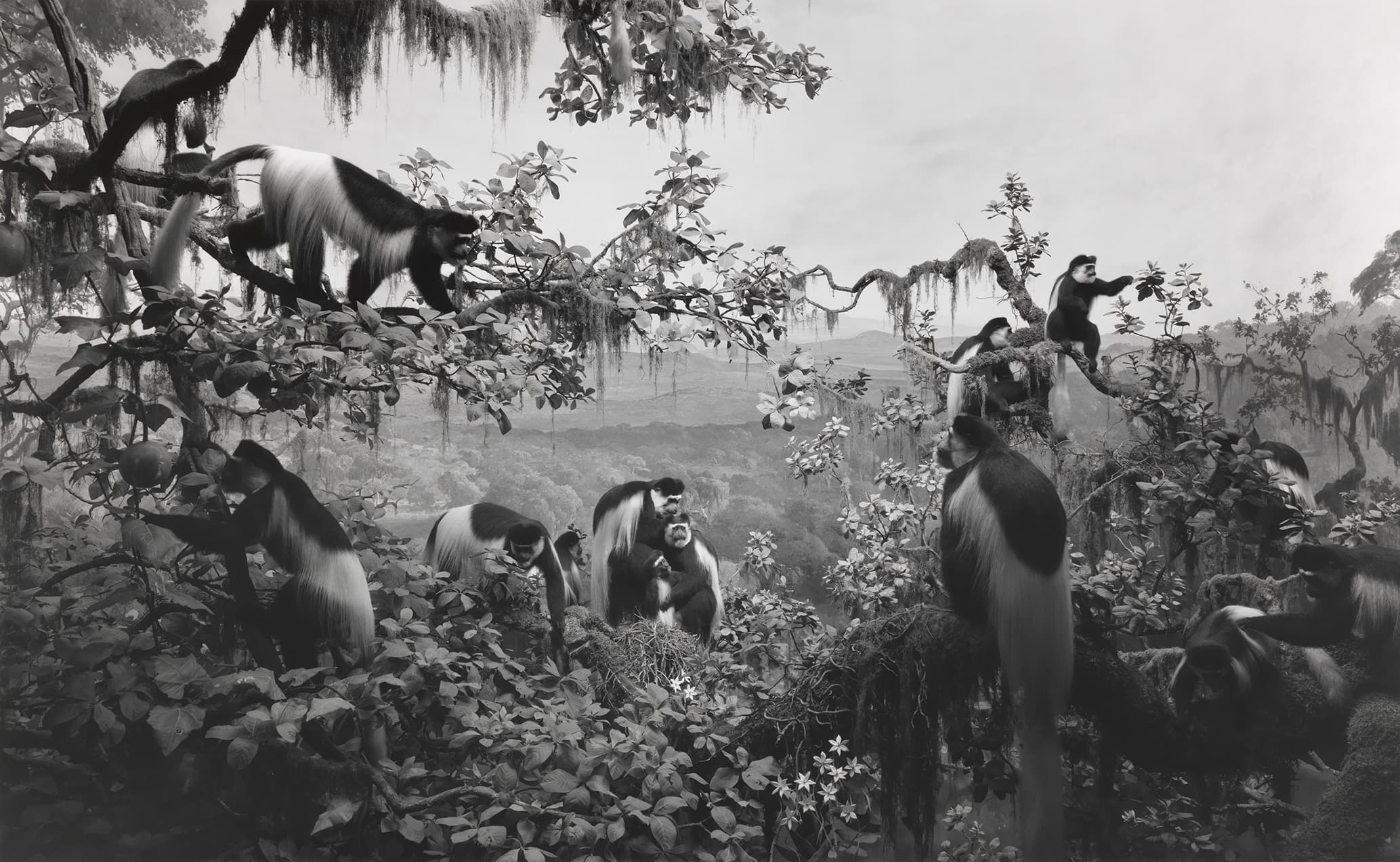 Hiroshi Sugimoto: Extinction